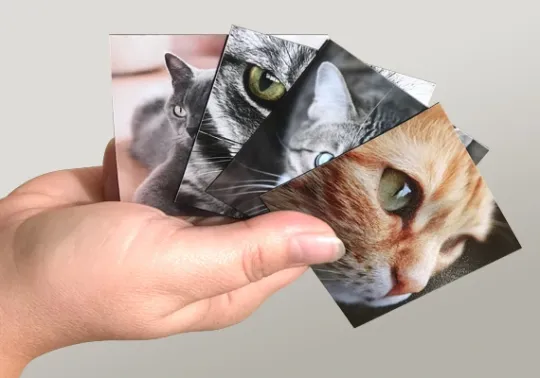 Môžem magnetky reklamovať?