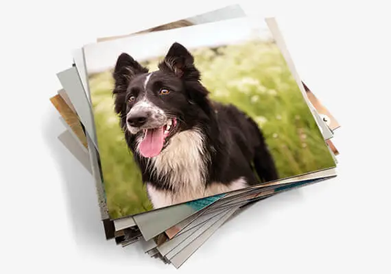 Magnetky na chladničku – náhľad