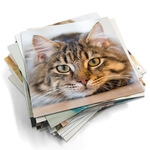 Fotomagnety na chladničku