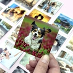 Fotomagnety na chladničku