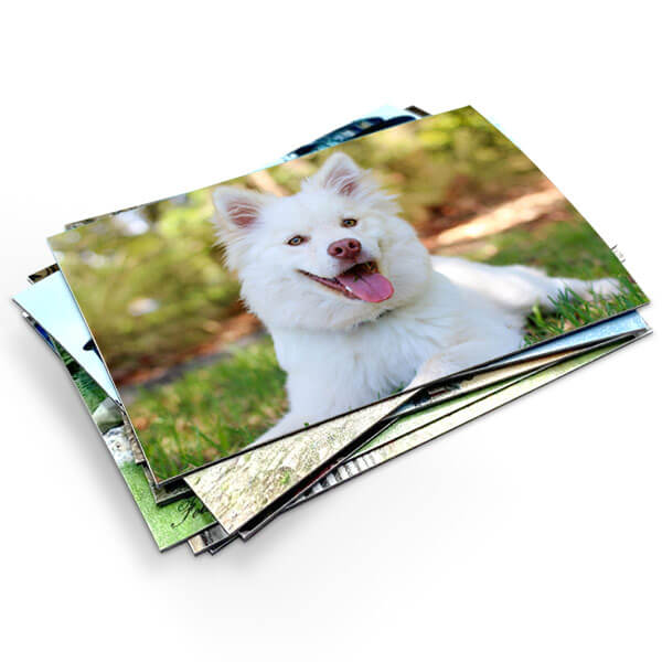 Fotomagnety na chladničku